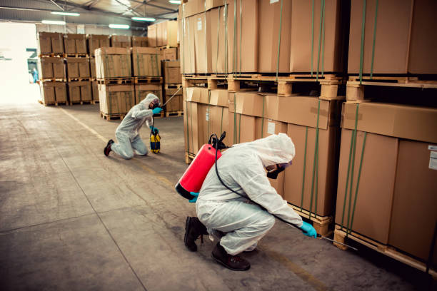Best Pest Control for Homes  in Tulare, CA