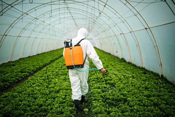 Best Pest Control for Businesses  in Tulare, CA