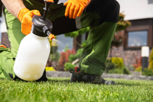 Professional Pest Control in Tulare, CA