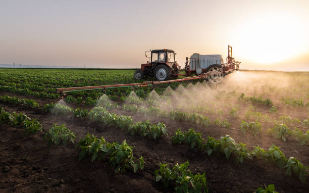 Best Best Pest Control Companies  in Tulare, CA