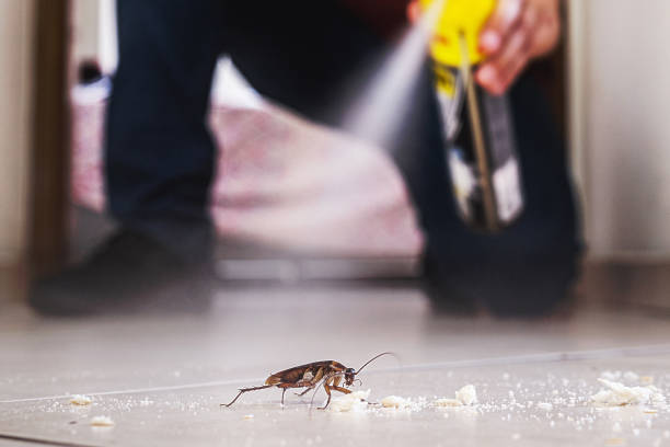 Best Pest Prevention Services  in Tulare, CA