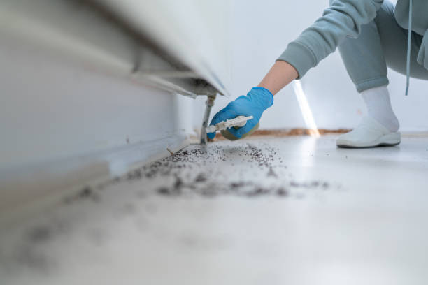 Reliable Tulare, CA Pest Control Solutions
